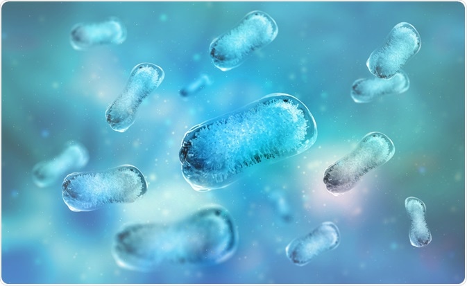 Image Credit: Yurchanka Siarhei / Shutterstock.com