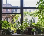 Indoor plants do not improve indoor air quality