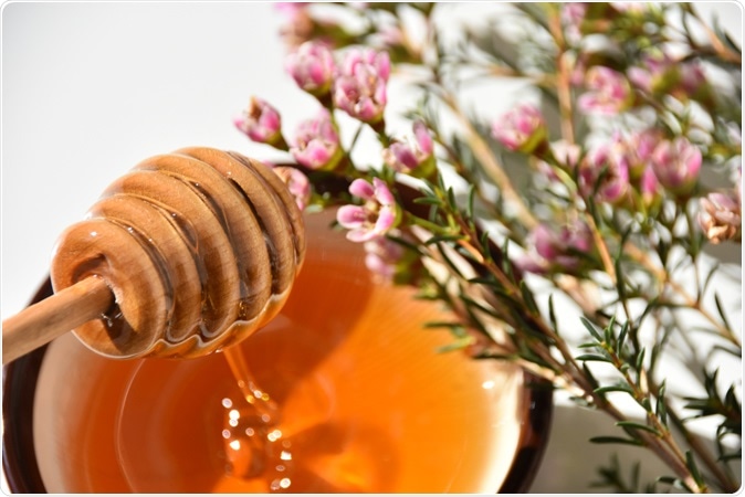 Manuka honey. Image Credit: Liga Cerina / Shutterstock