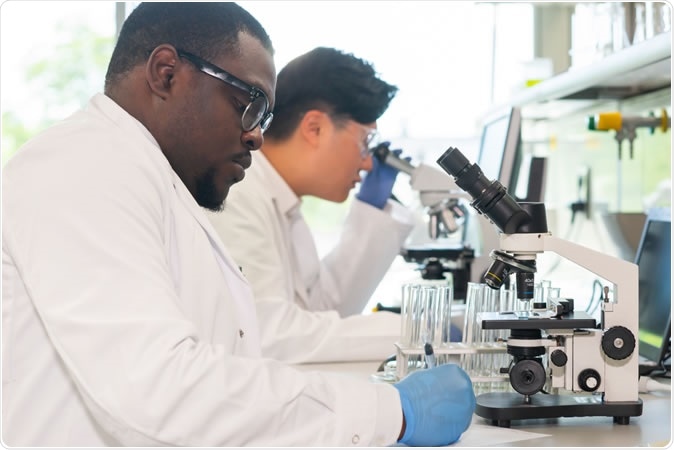 Scientist working in lab. Doctors making medical research. Biotechnology, chemistry, science, experiments and healthcare concept. Day light and window background. Image Credit: Maksim Shmeljov / Shutterstock