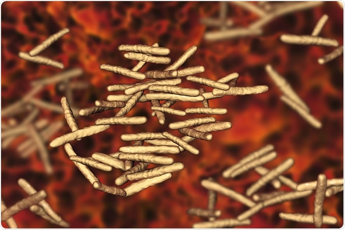 Mycobacterium avium-intracellulare, MAI, non-tuberculous mycrobacteria which cause opportunistic infections in HIV-infected patients, 3D illustration Credit: Kateryna Kon / Shutterstock