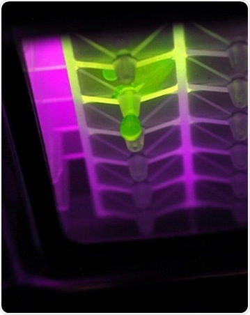 Porvair Sciences offers high performing 48-, 96- and 384-well filtration microplates