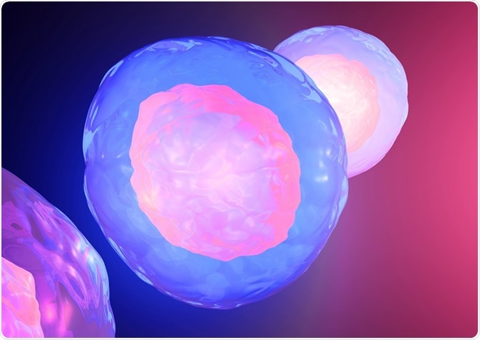 Illustration of cells