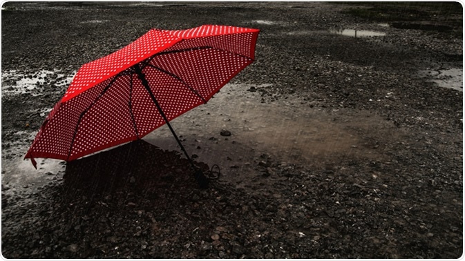 Image Credit: Tanja Esser / SHutterstock