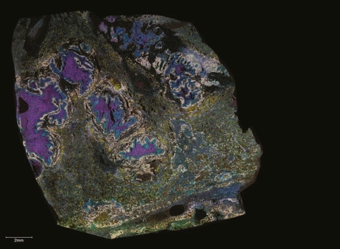 Cover image courtesy of Dr Jeff Spraggins, Mass Spectrometry Research Center at Vanderbilt University