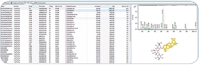(A) Searching online compound databases with CompoundCrawler for C48H78O18 returned multiple candidate structures from the online compound databases. In-silico fragmentation of selected candidates using the MetFrag[1] algorithm generated scores for the likelihood of the structures to match the MS/MS fragment peaks. The best candidate molecule was Soyasaponin I. The characteristic aglycon fragment with 441.373 m/z highlighted on the Soyasaponin I molecule substantiated this structural hyposesis.