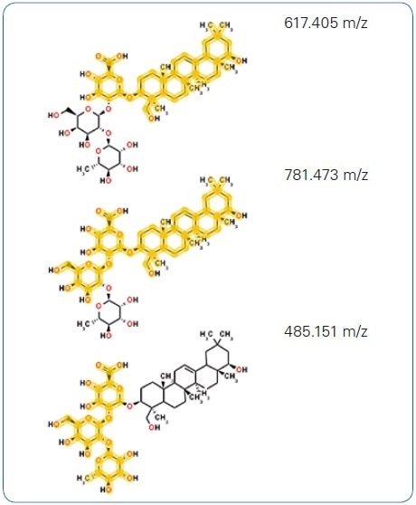 (B) Further, in-silico generated fragment structures matching measured fragment ion peaks added to the annotation confidence.