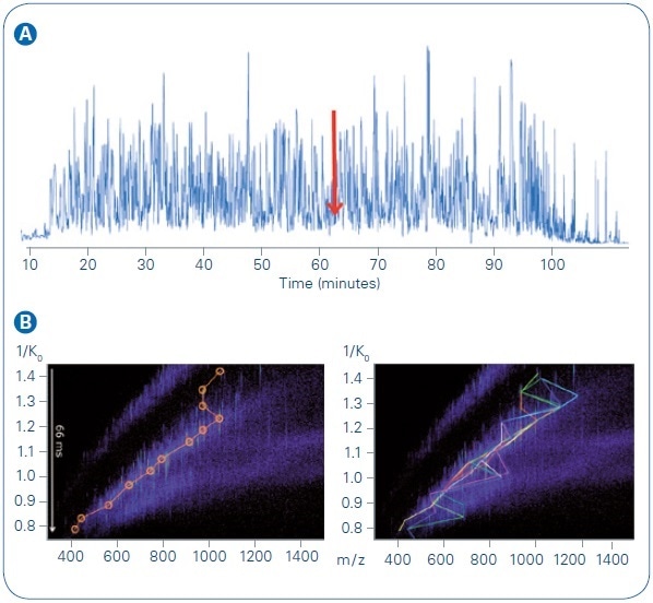 LC MS/MS run, 200 ng HeLa digest, 90 min gradient. A: Base peak chromatogram. B: TIMS MS heat map at 61.7 minute, with targeted precursors indicated. Bottom left, first PASEF MS/MS analysis event, precursors circled in orange. Bottom right, full PASEF MS/MS cycle, with each of the ten colored lines indicating targets from one TIMS elution segment. The most abundant precursors were sequenced in previous scan cycles and were dynamically excluded from re-sequencing.