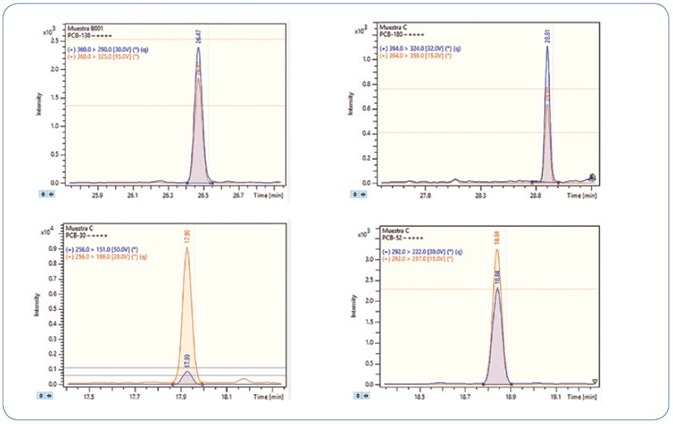 Analysis of different wedge clam extracts spiked at 0.8 µg/kg PCBs. Each time window shows the MRM transitions used for each compound.