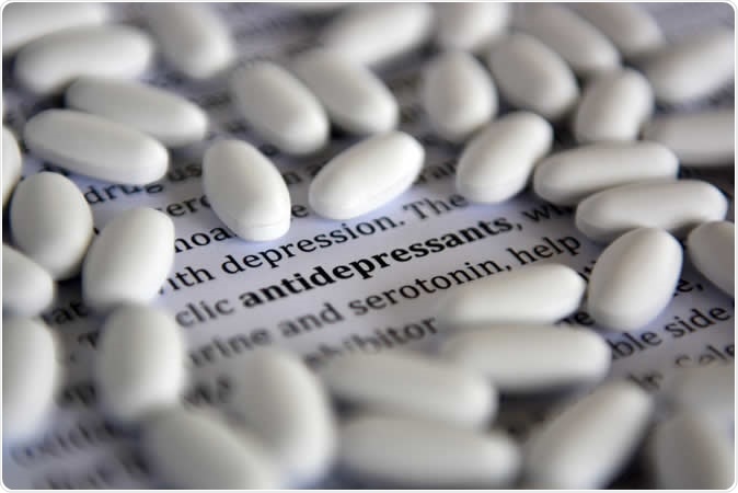 Image Credit: Lea Rojec / Shutterstock