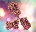 Novel monoclonal antibodies show promise in preventing severe mpox disease