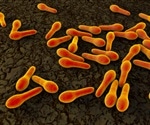 Clostridium difficile infection is four times more likely to kill patients with inflammatory bowel disease