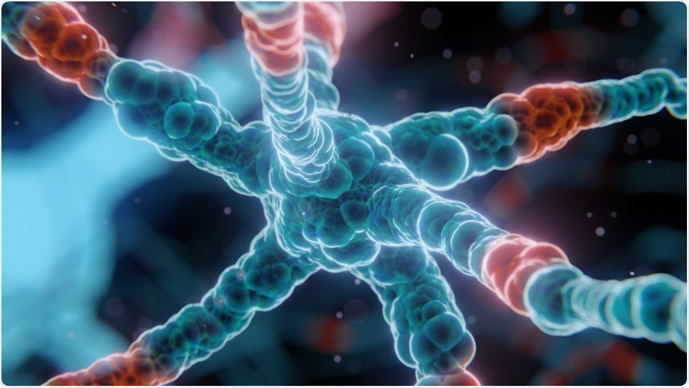 Neurons in the brain