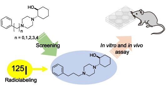 Researchers develop technique to track proteins on the surfaces of endoplasmic reticulum in cells