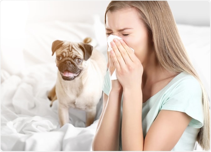 Allergic to Dogs. Image Credit: Africa Studio / Shutterstock