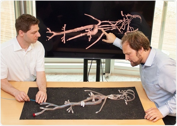 New system for precise navigation through the vascular system