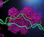 New gene-editing protocol allows perfect mutation-effect matching