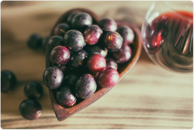 Moderate daily dose of resveratrol alleviates muscle deconditioning in Martian gravity analog. Image Credit: Aimee M Lee