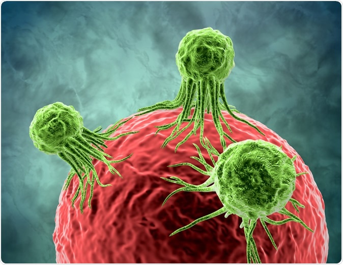 Tumor cancer cells attacking and growing on human cell 3d rendering. Illustration Credit: Illustration Forest / Shutterstock
