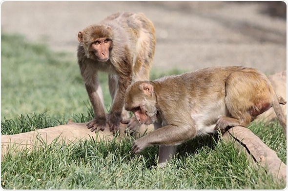 Boosting a single brain molecule can change