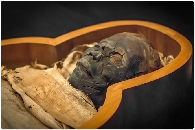 Ancient mummy in the sarcophagus, close-up. Image Credit: Anton Watman / Shutterstock