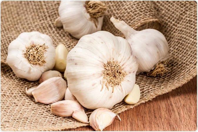 Garlic bulbs with garlic cloves. Image Credit: spicyPXL / Shutterstock