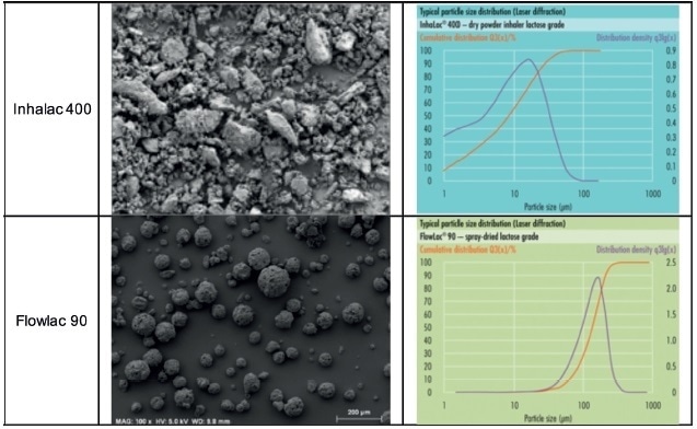 Photography and particle size distribution of the two lactose powders.