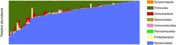 Study describes initial baseline healthy gut microbiome database and abundance profile