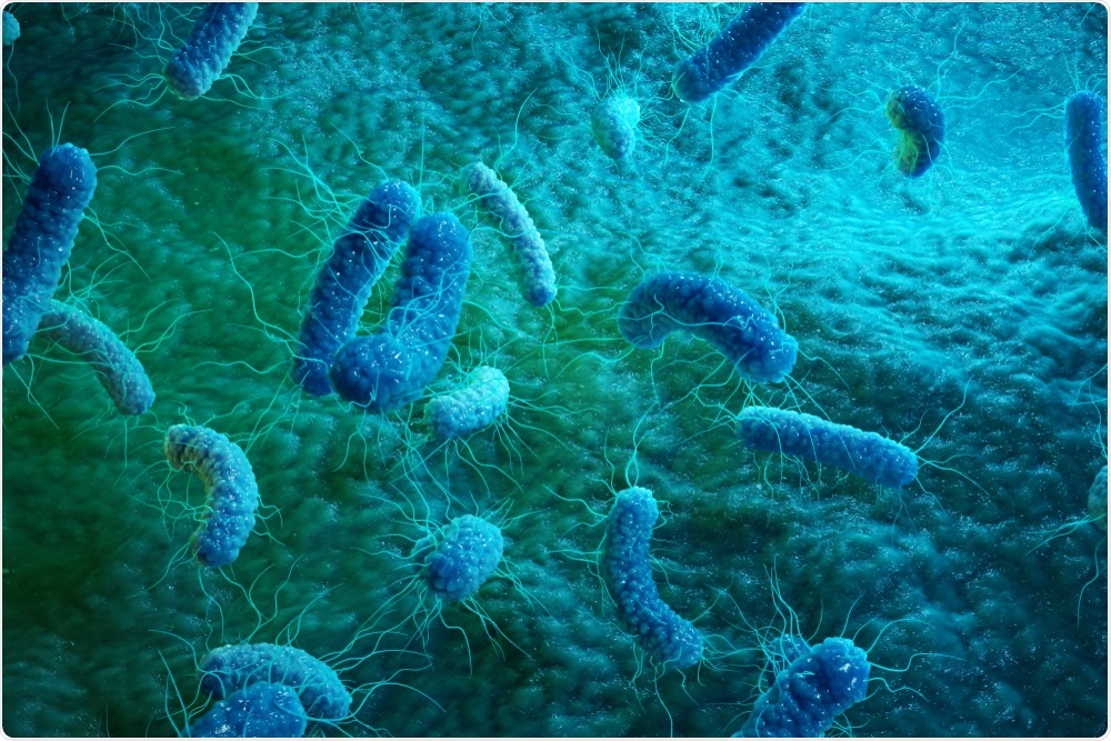 Salmonella superbug