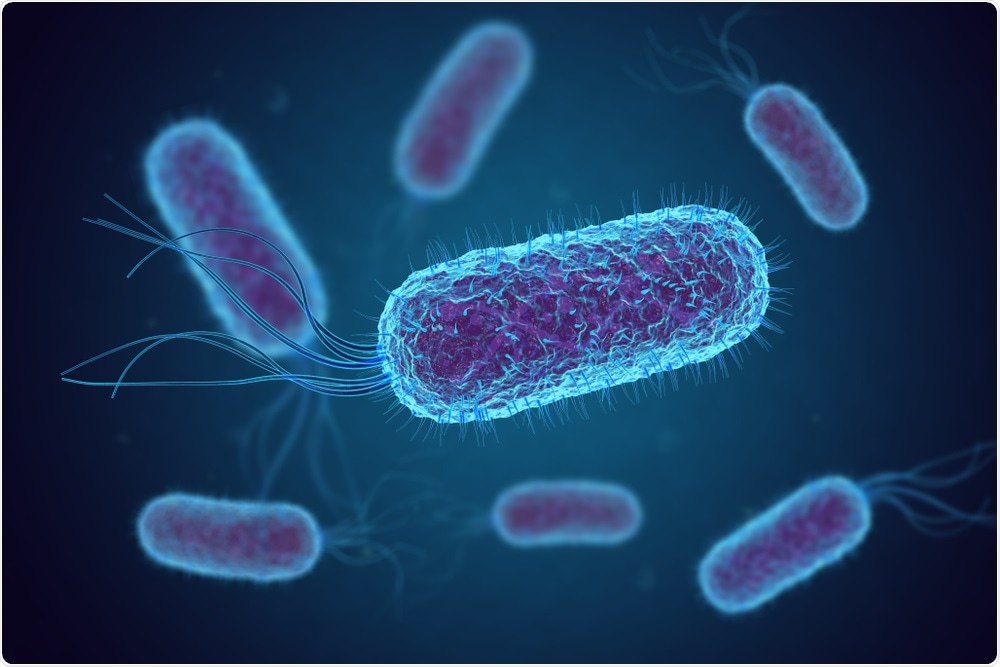 E. coli bacteria