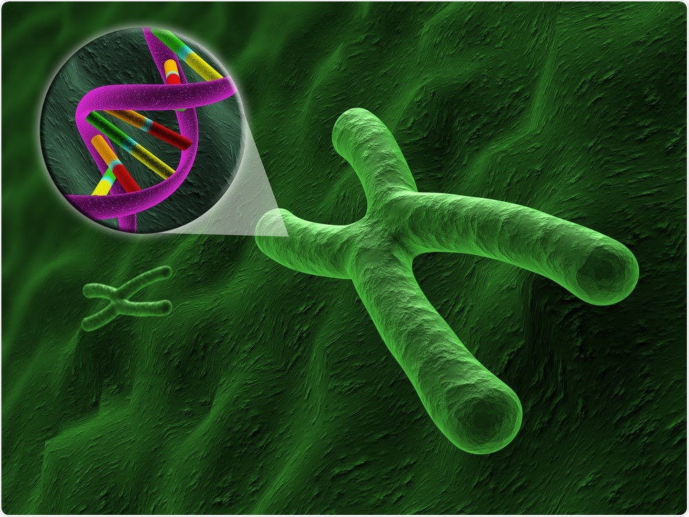 Chromosome showing zoom in DNA helix