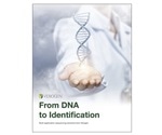 Human Identification from DNA