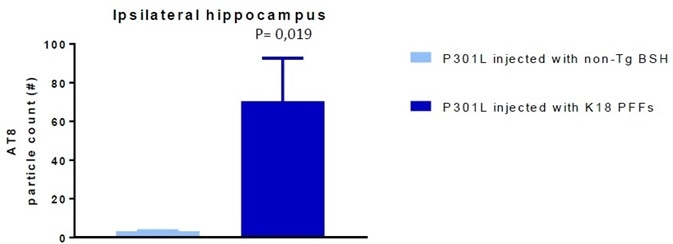 AT8 particle count in P301L mice injected with non-Tgbrainstem homogenate (BSH) (negative control) and K18 P301L PFFs (SPR-330).