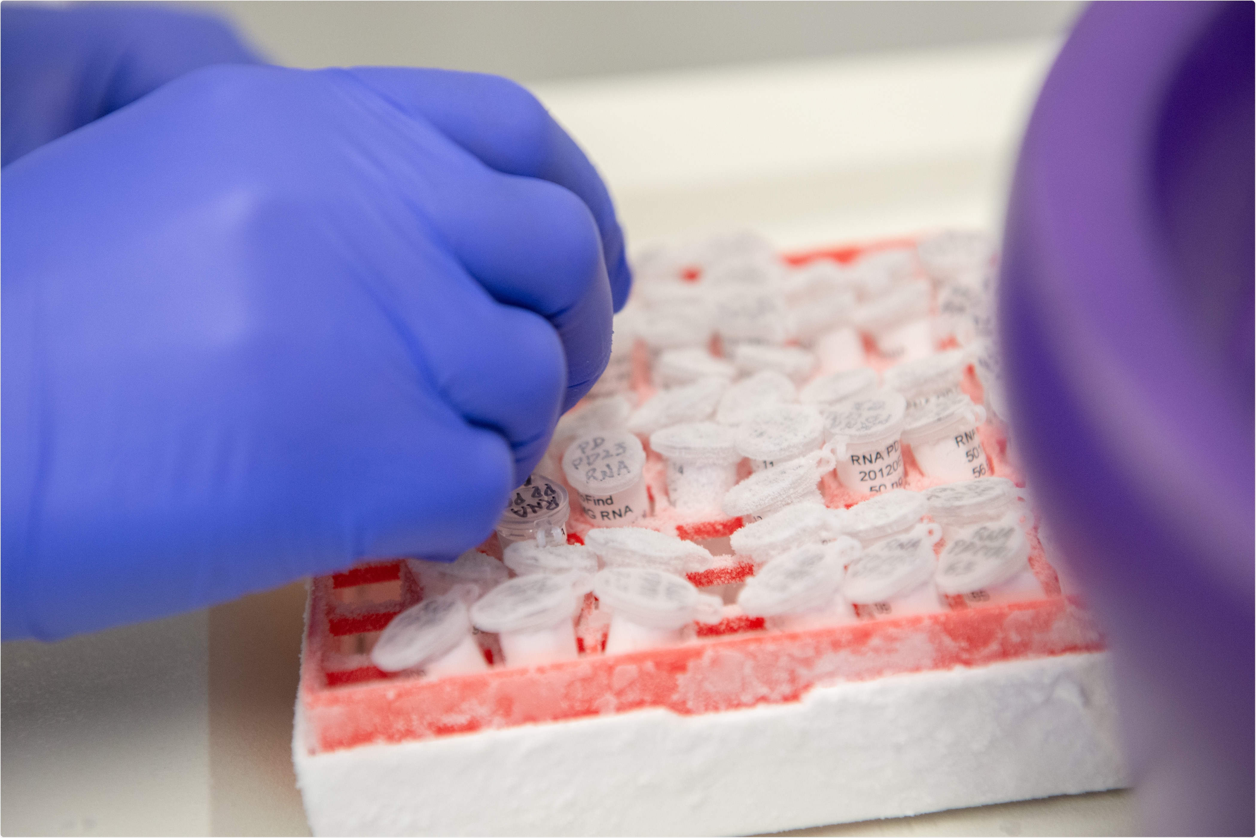 Image Credit: Northwestern Medicine