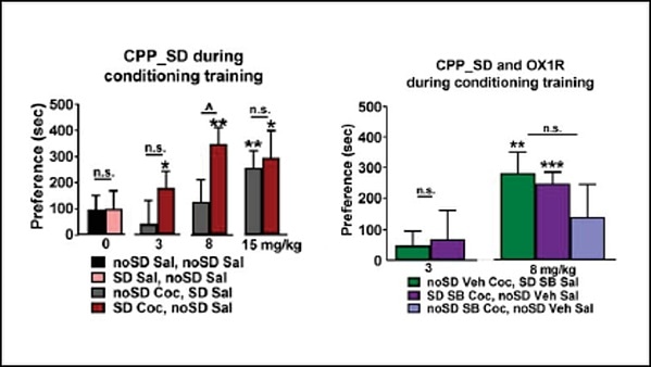 Sleep deprivation can increase the rewarding properties of cocaine