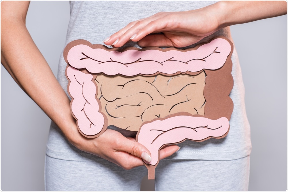 Intestine