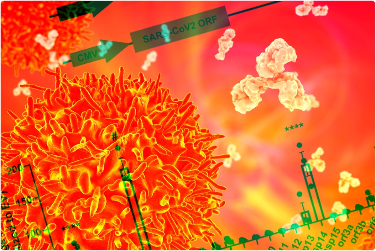 Study: Human coronaviruses disassemble processing bodies.