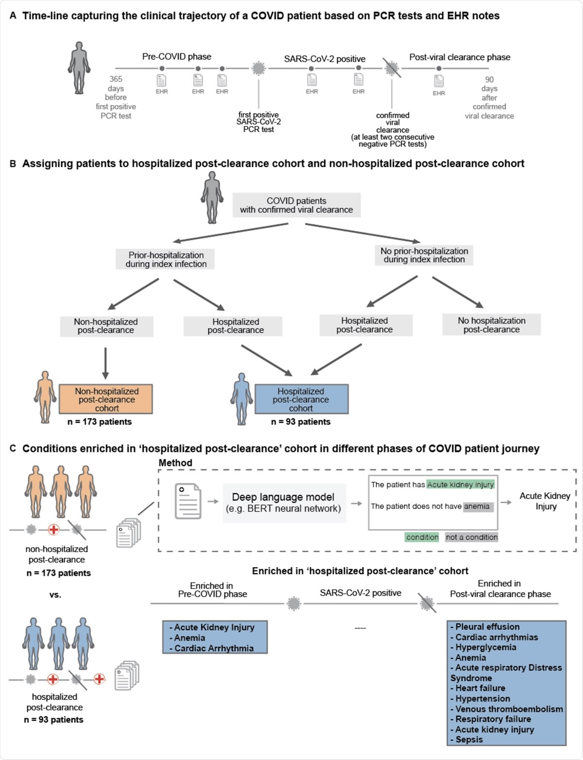 Overall study design. (A) Trajectory of a COVID-19 patient transitioning from pre-COVID (time up to 365 days before first positive PCR test) through the SARS-CoV-2 positive phase (interval after first positive test but before the first of two consecutive negative PCR test results) into the post viral clearance phase (period up to 90 days after the first of two negative PCR test results), (B) Demonstrates procedure for assigning patients to the hospitalized post-clearance cohort and non-hospitalized post-clearance cohort patients can be hospitalized at varying points in time including during the index infection (time from first positive PCR test results to first of two negative PCR test results) and following viral clearance - two cohorts are defined from the overall population, Hospitalized Post-Clearance Cohort in which patients are admitted or readmitted to the hospital following their estimated clearance date and Non-Hospitalized Post-Clearance Cohort in which patients are admitted during the index infection, but not following the estimated clearance date, (C) For each patient if the two defined cohorts a deep language (BERT) model is used to extracted phenotypes of interest from the clinical notes recorded between 365 days prior to infection and up to 90 days after clearance for each patient - occurrences of these phenotypes are stratified into pre-COVID, COVID pre-clearance, and COVID post-clearance time periods and statistical tests are run to find significant differences in phenotypes between the two cohorts.