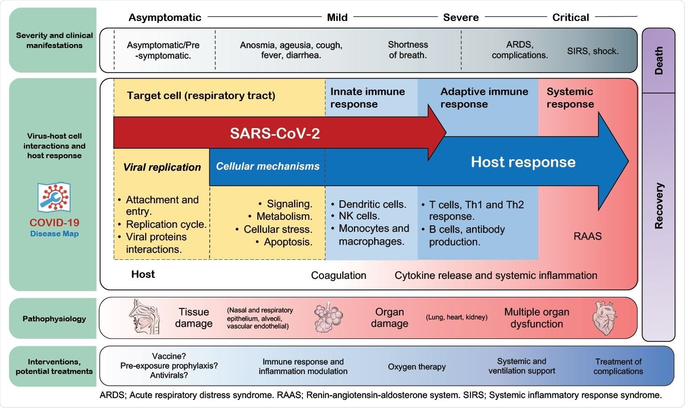 Overview of the map in the context of COVID-19 progression. Pathways and cell types involved in the sequential stages of COVID-19, including some of the most common clinical manifestations and medical management from the moment of infection to the disease resolution, are shown. The distribution of the elements is for illustrative reference and does not necessarily indicate either a unique/static interplay of these elements or an unvarying progression.