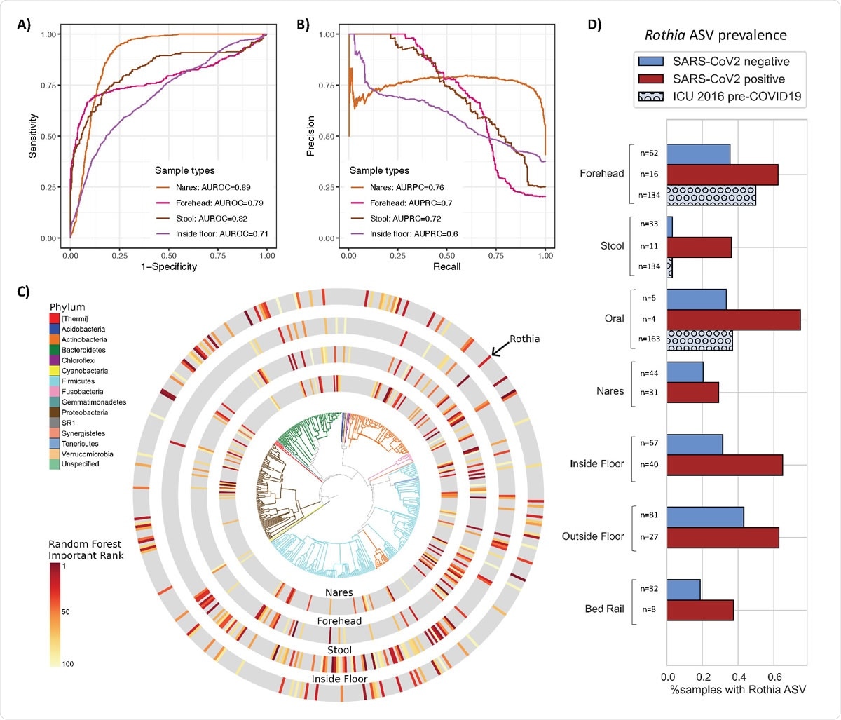 Bacterial composition is predictive of SARS-CoV-2 status in nares, forehead, stool and inside floor samples. The prediction performance of Random Forest classifiers on SARS-CoV-2 status for each sample type was assessed using AUROC (A) and AUPRC (B) for nares (n=76), forehead (n=79), stool (n=44), and inside floor (n=107), in a 100-fold cross-validation approach (see methods). (C) EMPress plot of the 100 features most predictive of SARS-CoV-2 status in nares, forehead, stool and inside floor samples, where a single ASV with 100% alignment to Rothia dentocariosa was identified across all sample types. Top 100 random forest importance ranks and GreenGenes taxonomy from nares, forehead, stool, and inside floor samples are available in DataFile S2. (D) Proportion of samples containing the highly predictive Rothia dentocariosa ASV in SARS-CoV-2 positive and negative samples from the current study, and from (30) (ICU 2016 pre263 COVID19)