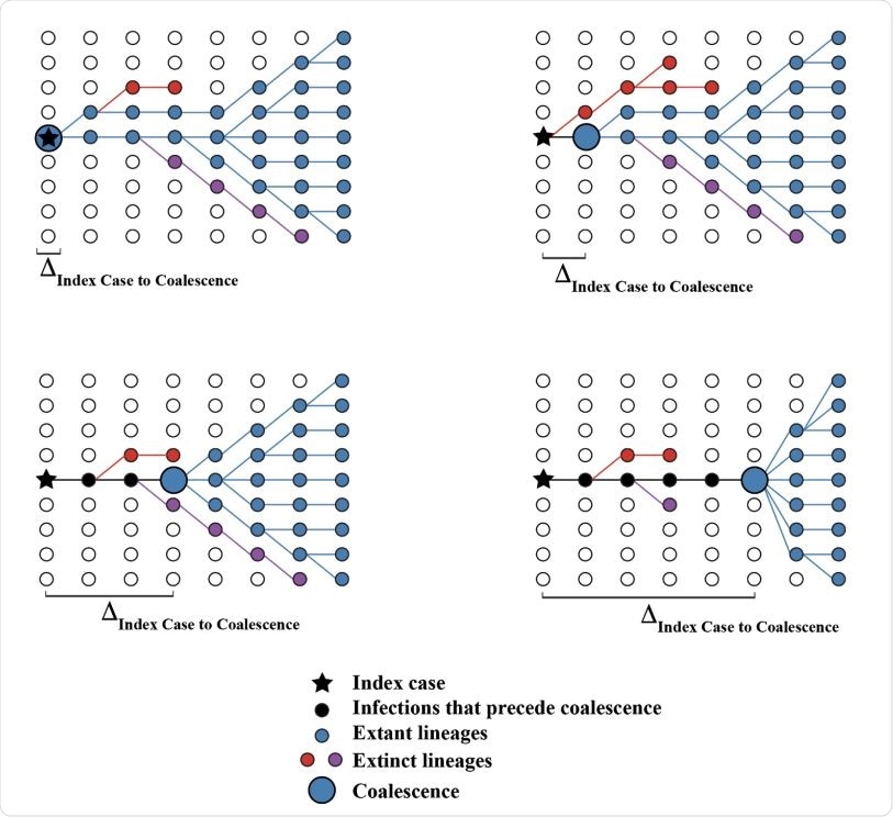 Hypothetical coalescent scenarios depicting how the time between index case infection and time of stable coalescence can vary based on stochastic extinction events of basal viral lineages. Coalescence can occur within the index case (upper left) or in cases infected later in the course of the epidemic. In extreme cases, the epidemic can persist at low levels for a long time before coalescence (lower right).
