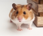 Nafamostat mesylate initially reduces SARS-CoV-2 viral loads in hamsters, study finds