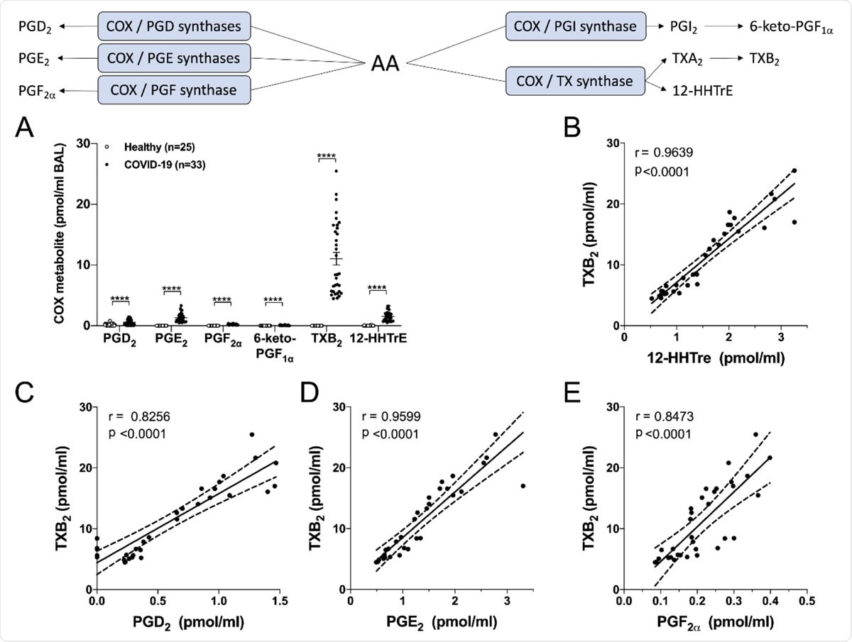 Levels of cyclooxygenase-derived metabolites in the BAL fluids of healthy and severe COVID-19 patients. BALs were obtained and processed as described in Methods. A) Results are from the BALs from 25 healthy subjects and 33 severe COVID-19 patients. P values were obtained by performing a Mann-Whitney test: **** = p < 0.0001. B-E) Correlation tests were performed with COVID-19 patients by using the non-parametric Spearman’s rank. P<0.05 was the threshold of significance. The linear regression is represented with a solid line and the best-fit lines of 95% confidence are represented with dotted lines.