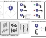 Designed proteins assemble antibodies into modular nanocages
