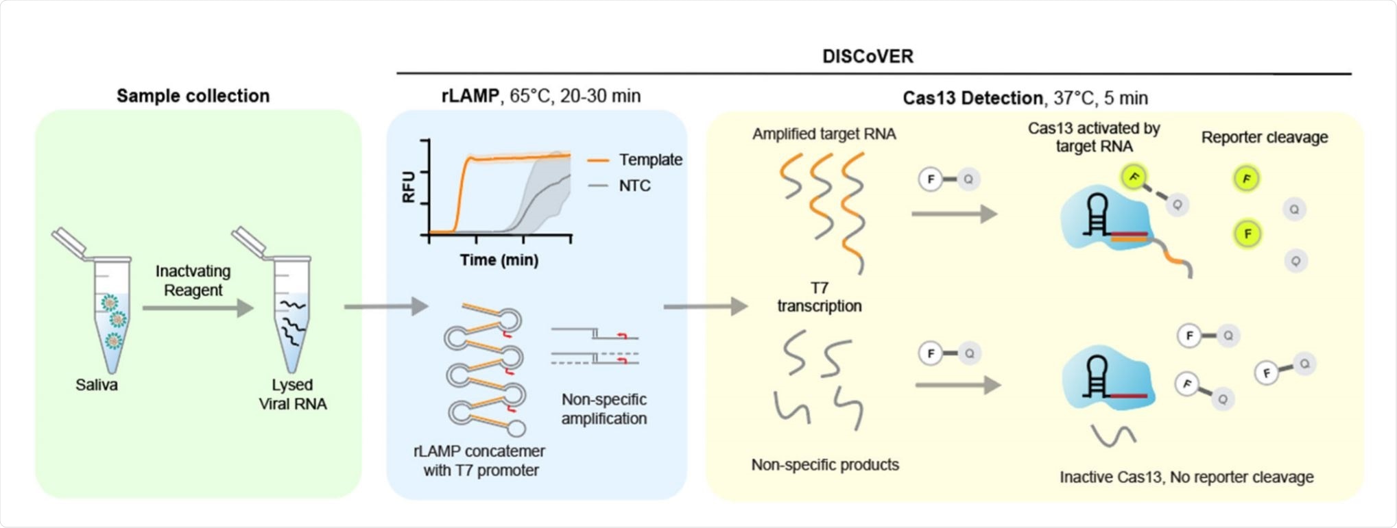 Schematic of DISCoVER sample to answer workflow