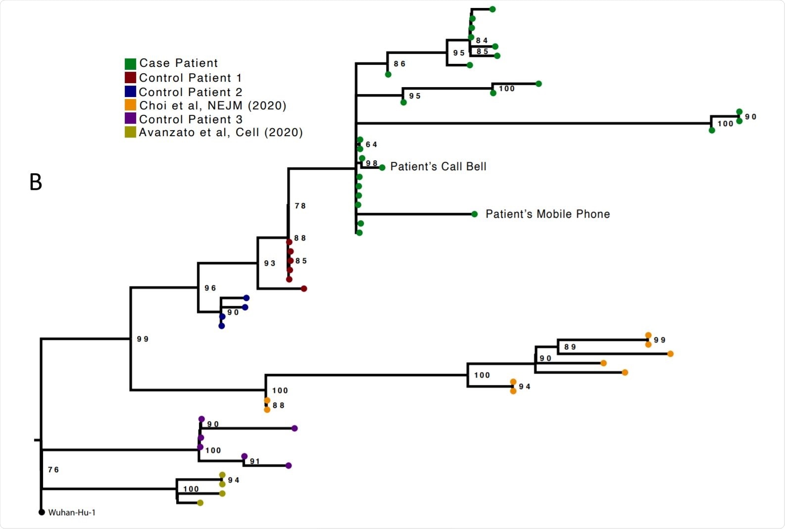 Analysis of 23 Patient derived whole SARS-CoV-2 genome sequences in context of national sequences and other cases of chronic SARS-CoV-2 shedding. A