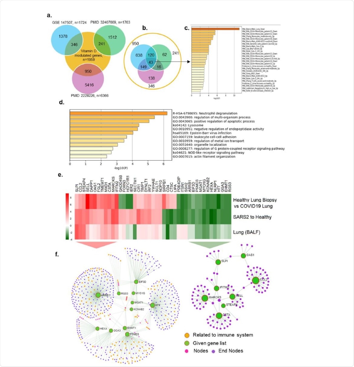 Expression of Vitamin D regulated genes in COVID19 patients. a) Number of genes found overlapped with Vitamin D regulated genes and three SARS-COV-2 datasets are denoted. b) 43 genes were identified which are common for 3 SARS-COV-2 datasets and also regulated by Vitamin D, c) Bar diagram shows the summary of enrichment analysis in SARS-COV-2 from Metascape. d) Bar diagram shows the summary of functional enrichment analysis in from Metascape. e) The expression status of these 43 genes in SARS-COV-2 patient data is plotted as heat map. f) Network analysis of 12 genes found up-regulated in all three patient dataset and also regulated by Vitamin D is given. The functional enrichment analysis of 12 genes using Reactome identified “Activation of the pre-replicative complex” as primary enrichment (rank 1, hits 9/32 pavlue 3.5e-11), Network analysis of 12 genes downregulated in all three SARS-COV-2 patient transcriptome datasets. Genes are found functionally related to immune system (rank 57, 131/1140 pvalue 1.31e-21) are remarked.
