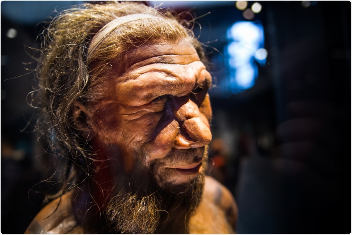 Study: The MERS-CoV receptor gene is among COVID-19 risk factors inherited from Neandertals. Image Credit: IR Stone / Shutterstock
