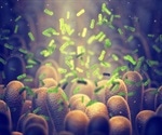 Semi-Volatile Organic Compounds (SVOCs) and the Microbiome