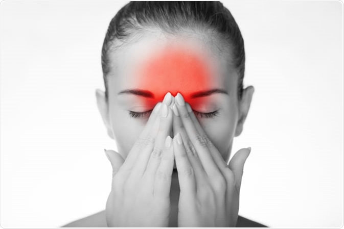 Image Credit: Leszek Glasner / Shutterstock